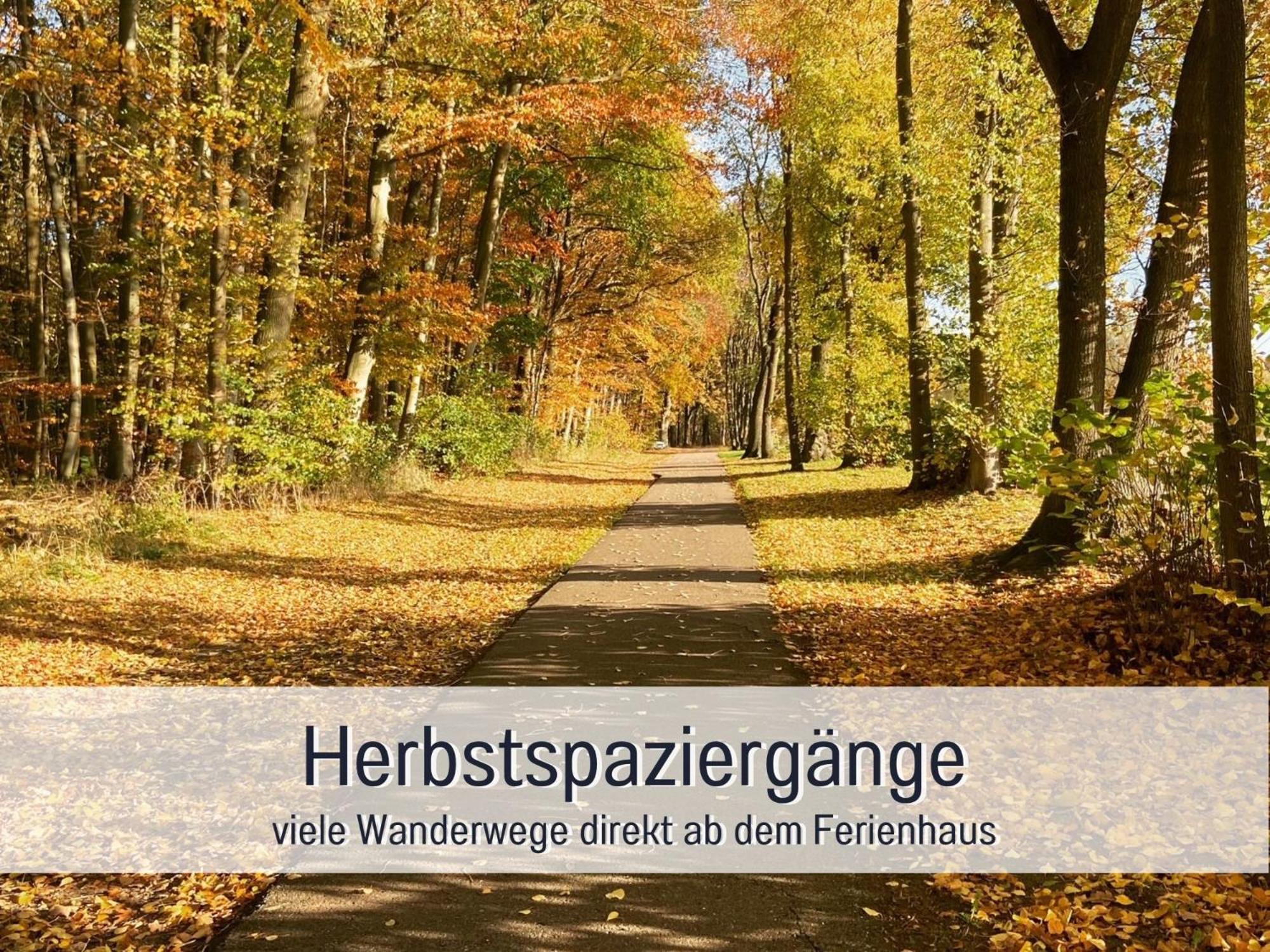 Strandhaus Mathea - Ruhige Lage Direkt Am Fleesensee - Parkplatz, Kamin, Sauna - Familienfreundlich Unter Göhren Dış mekan fotoğraf